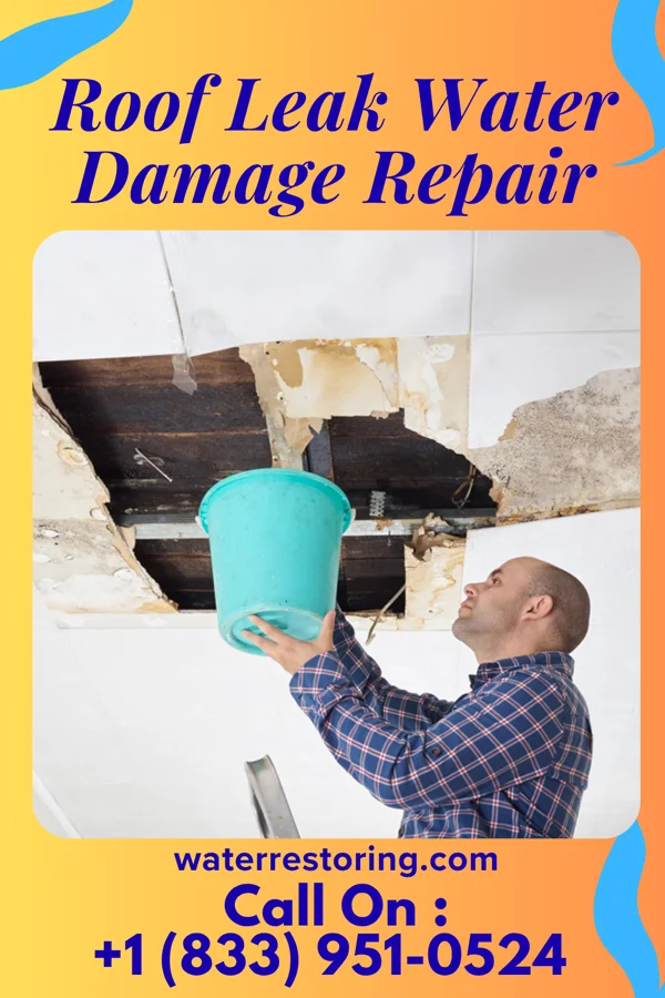Roof Leak Water Damage Repair in Graettinger, IA