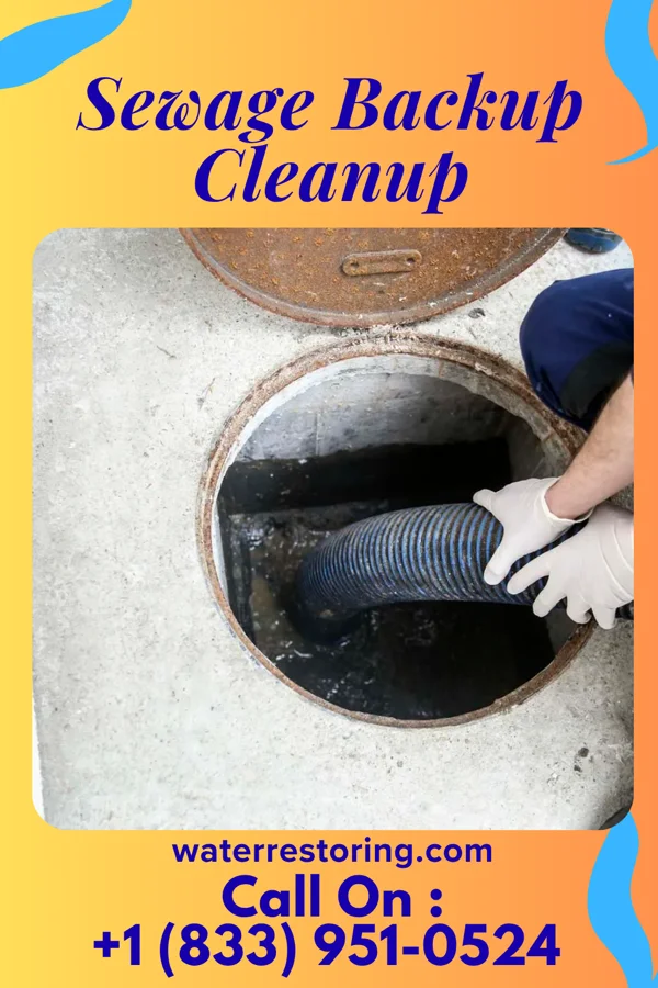 Sewage Backup Cleanup in Graettinger, IA